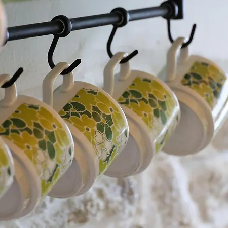 Artistic Cycladic House