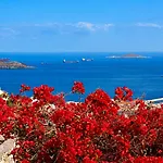 Danielle 626 House Ano Syros בית נופש
