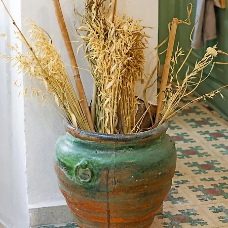 Danielle 626 House * Ano Syros